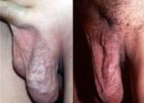 timthumb43e0