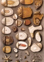 timthumbc3bc
